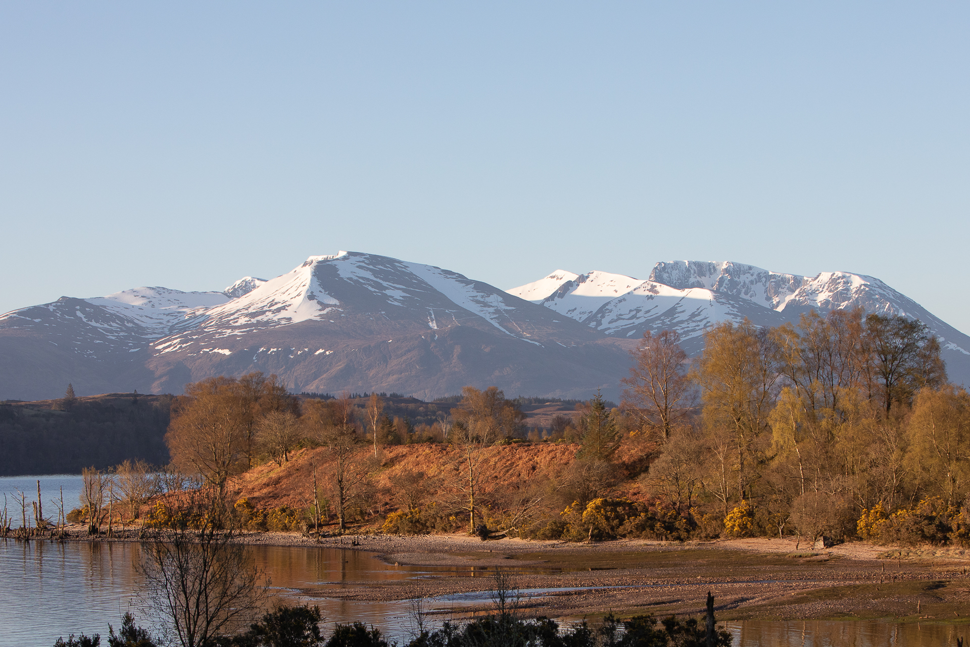 Highland Wildlife Photography background image