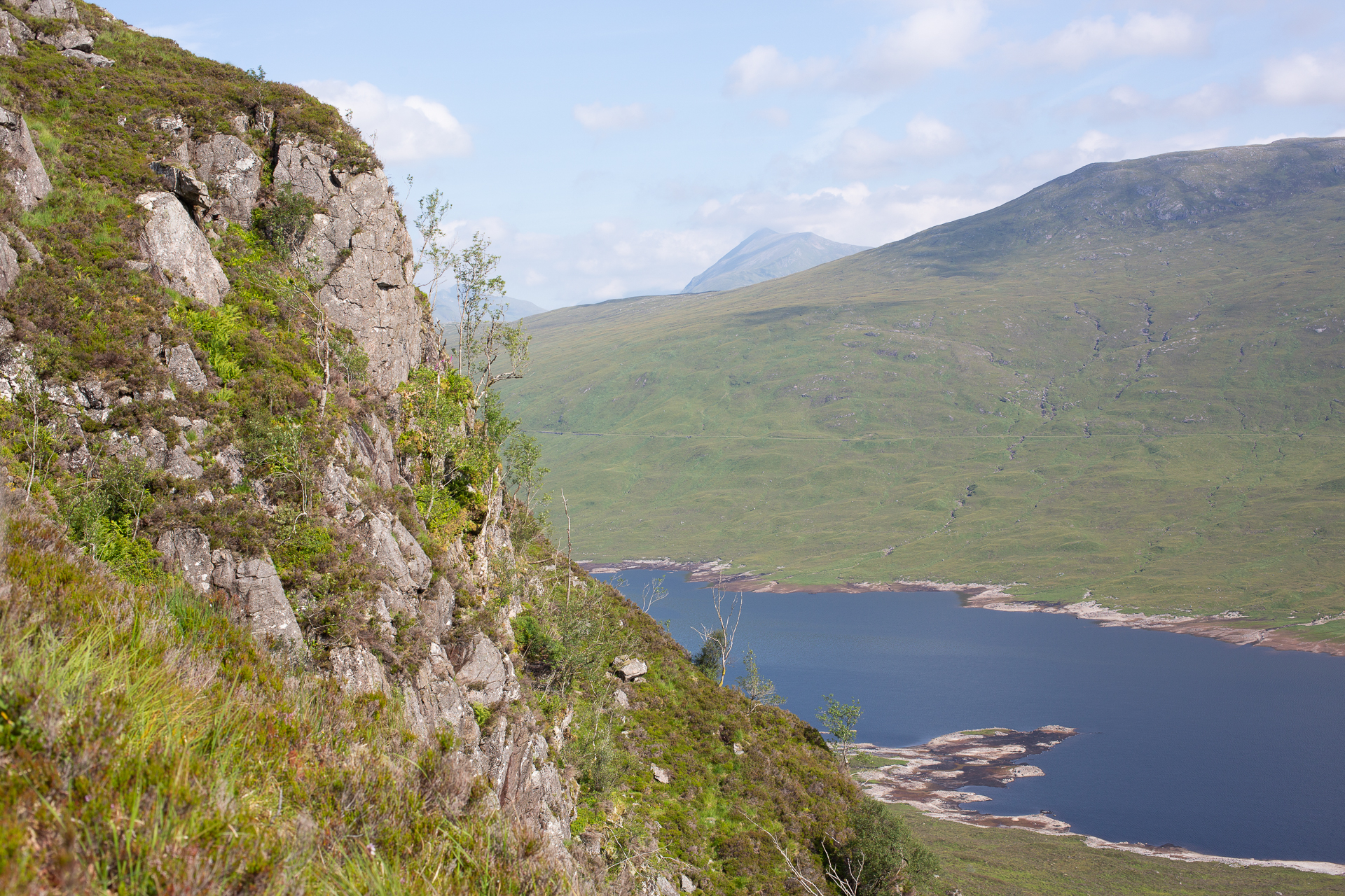 Highland Wildlife Photography background image