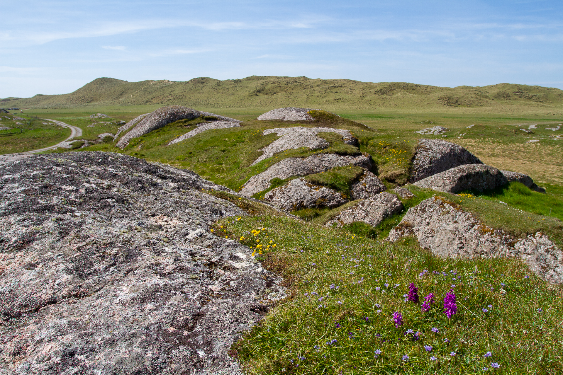 Highland Wildlife Photography background image