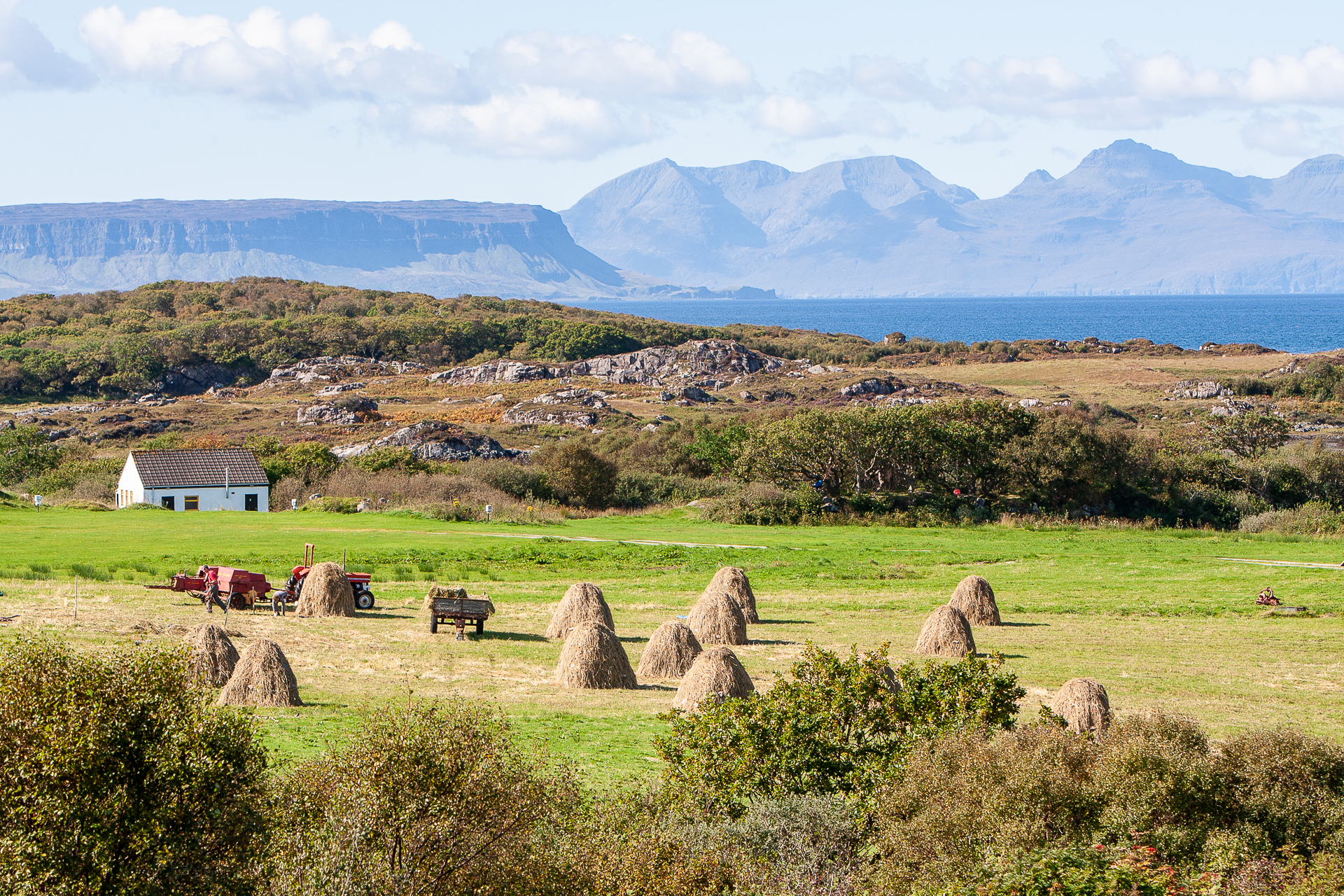 Highland Wildlife Photography background image