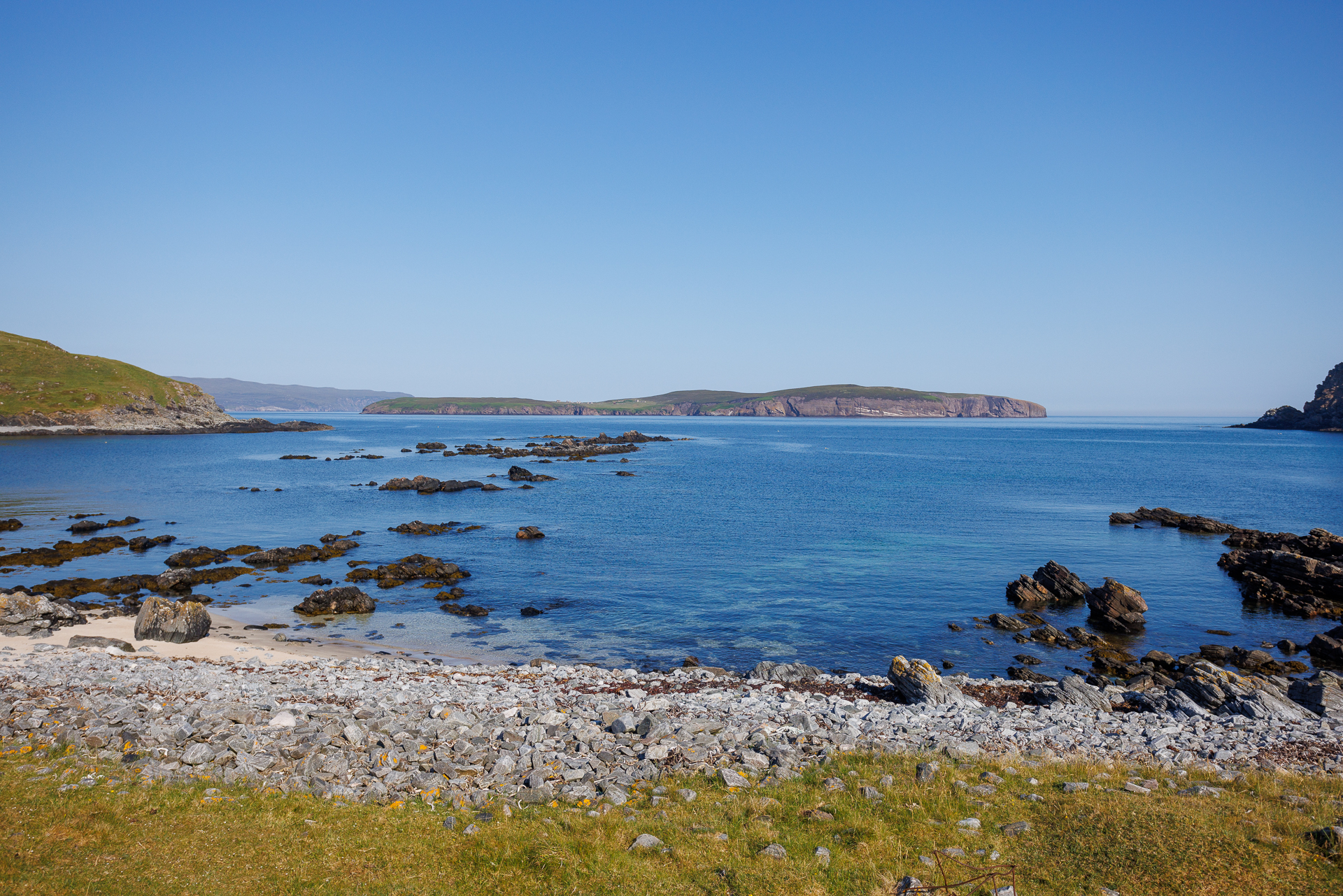 Highland Wildlife Photography background image