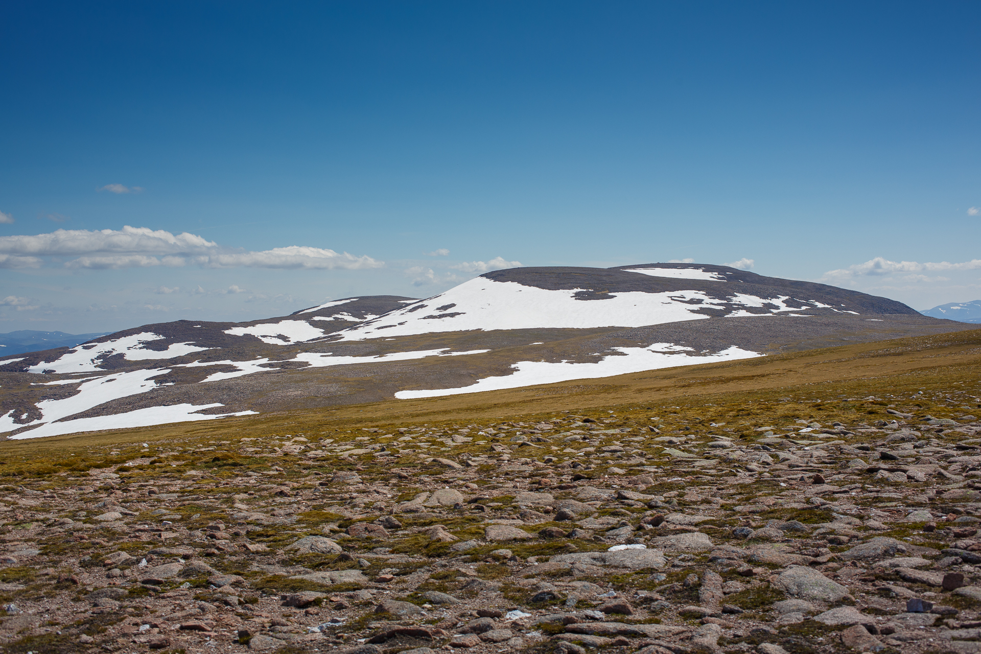 Highland Wildlife Photography background image