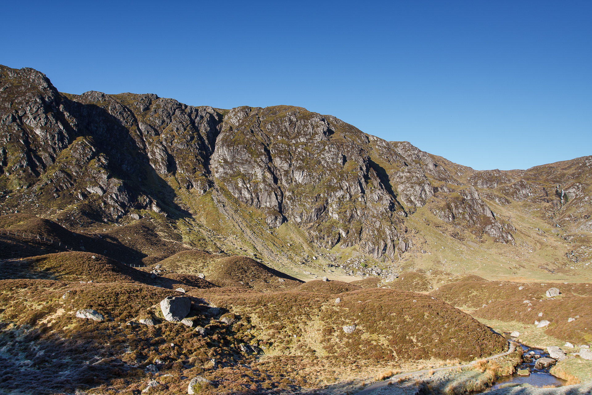 Highland Wildlife Photography background image
