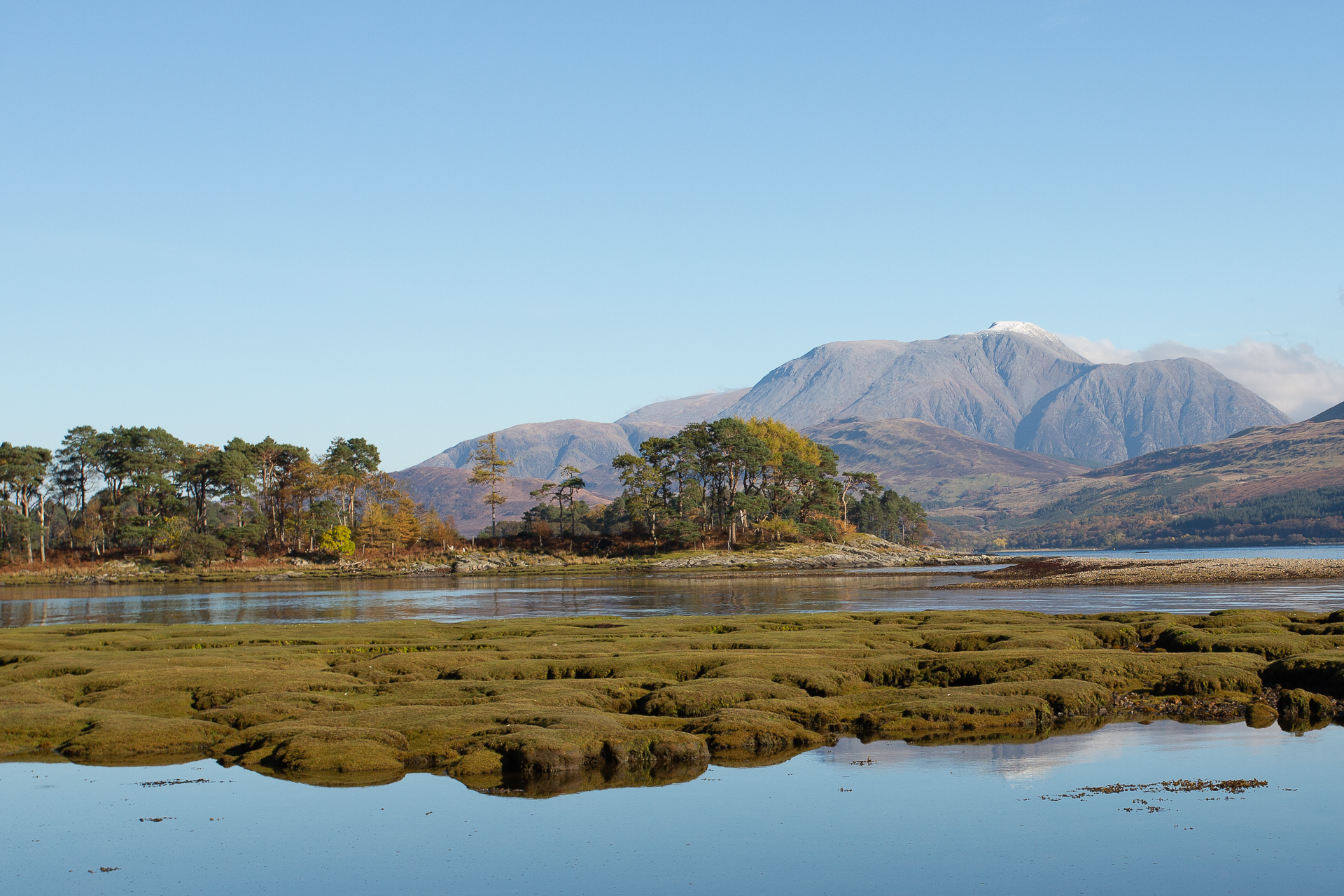 Highland Wildlife Photography background image