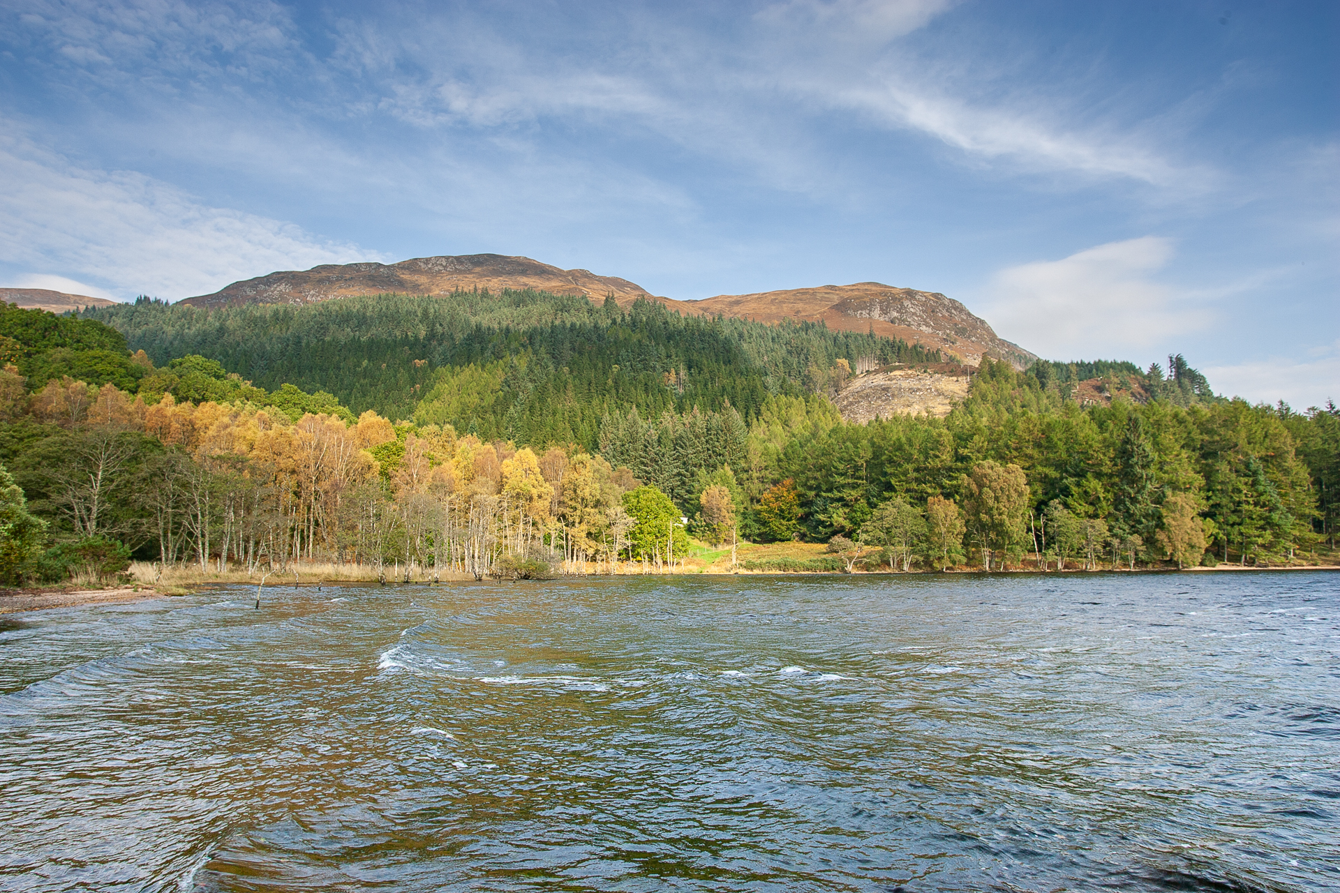 Highland Wildlife Photography background image