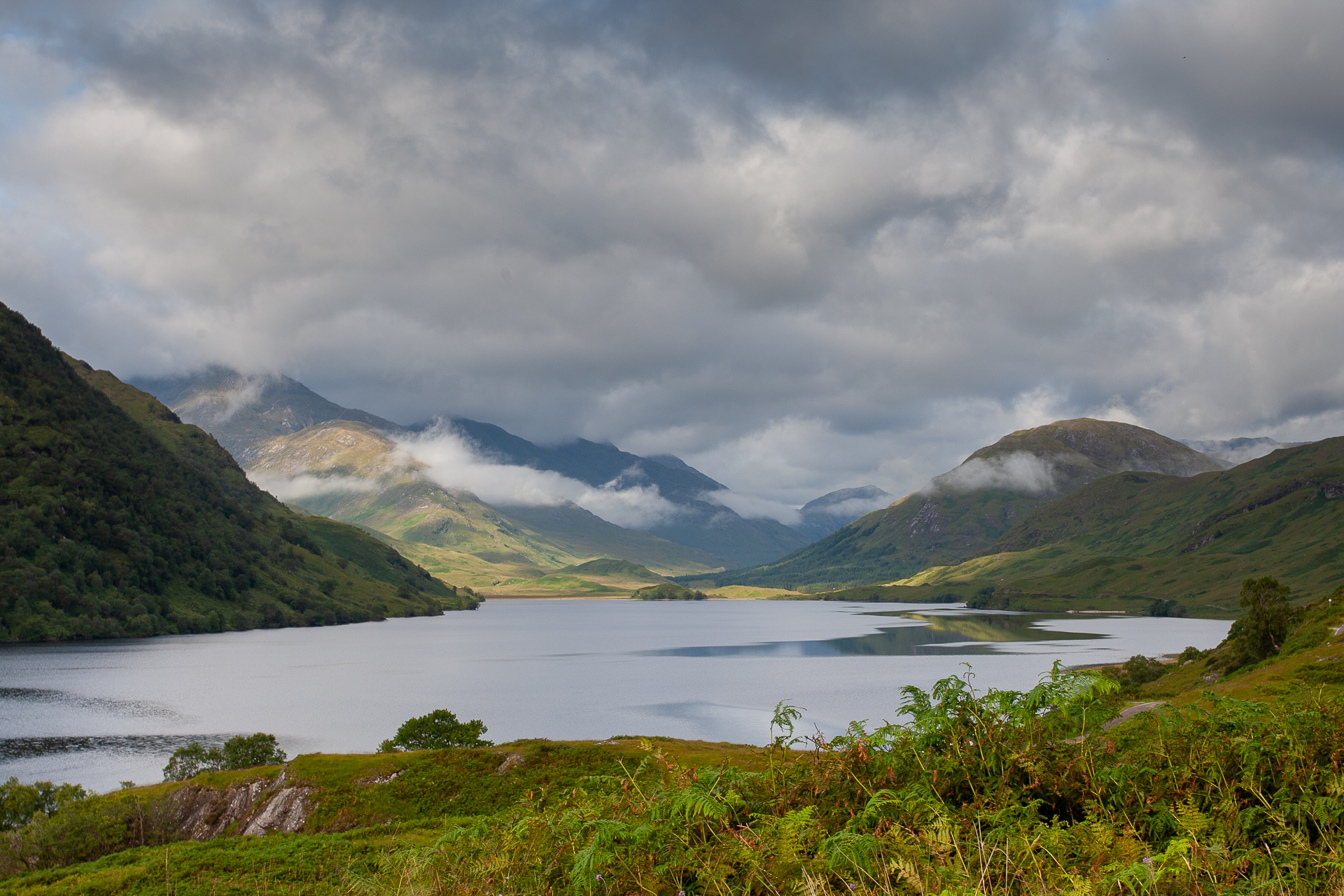 Highland Wildlife Photography background image